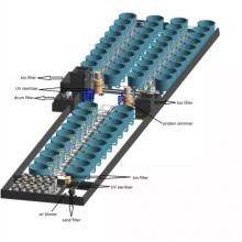 DECO RAS Recirculating Aquaculture System for Indoor Fish Farm thumbnail-3