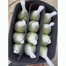 China Supply Long Stem Fresh Roses Natural Bulk Flowers Fresh Cut Roses From China 20pcs/bundle thumbnail-4