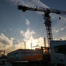 5tons QTZ63(5013) Topless Tower Crane Split Mast Sections 30m Free Height Max. Load thumbnail-2