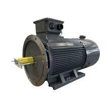 Supply Y2VP 132S-4-5.5kW Frequency Varaiable Speed Series AC Motor thumbnail-4