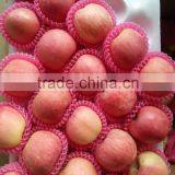 Superb Red Fuji Apple With High Sugar Content thumbnail-2