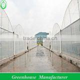 8M Span Width Agricultural Film Greenhouses thumbnail-1