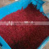 Scrap Plastic Recycling Machine thumbnail-3