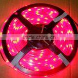 2.4W 3528 LED Flxible Strip Light With CE ROHS