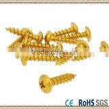 Screw Set Panel Gold 5x20 Pan Head Philips Self Tapping Screw thumbnail-1