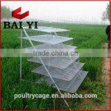 Metal Wire Mesh Layer Quail Broiler Cage For Sale( Now or Never ) thumbnail-1