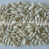 White Kidney Bean thumbnail-1