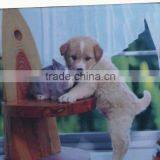 2015 Promotional Sublimated Printing Car Seat Cushion Cover