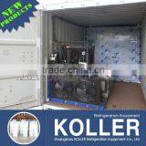Containerized Ice Block Machine Cold Room Crane System Optional