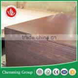 Poplar Plywood/poplar Film Faced Veneer Plywood thumbnail-5