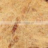COIR FIBER thumbnail-3
