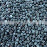 Bulk Wholesale Blueberry thumbnail-1