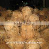 Semihusk Mature Coconut thumbnail-2