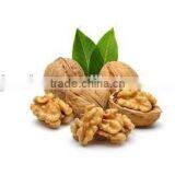 Shelled Walnuts/Top Class Dried Walnut With Best Quality thumbnail-1