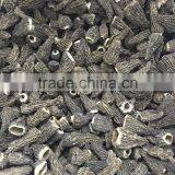 Dried Morels Special Grade thumbnail-1