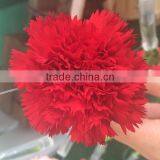Cheap Big Carnations Heads for Wholesale thumbnail-3