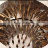 Factory Direct Sales of Stainless Steel Poultry Chickens, Ducks Hair Removal Machine Electric Hair Removal Machine thumbnail-3