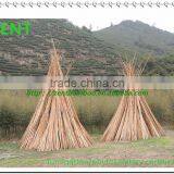 ZENT-137 raw bamboo poles/dry bamboo poles