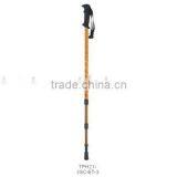 Hiking Pole thumbnail-1