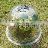 Bell Plastic Garden Cloches HX35011-3 thumbnail-2
