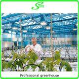 Professional Greenhouse Project Commercial Hydroponic Systems thumbnail-6