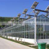 Full Automatic Venlo Type Greenhouse Used For Agicultural Planting thumbnail-4