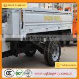 China New 250cc Three Wheel Mini Pedal Motorbikes for Sales thumbnail-5