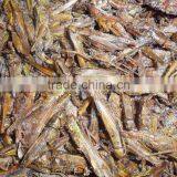 Animal Feed Dried Grasshopper thumbnail-4