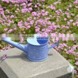 New Style Metal Watering Can With Printing thumbnail-2
