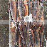 Health Food Frozen Illex Squid With High Nutritious Value thumbnail-5