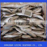 Frozen Horse Mackerel thumbnail-1