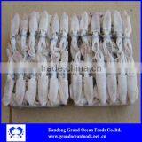 Puntilla China BQF Baby Squid thumbnail-1