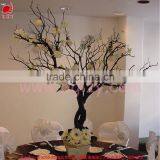 Homemade Wishing Tree and Christmas Tree for Wedding Table Setting