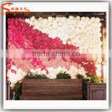 Home Decor Vertical Green Wall Artificial Moss Grass Wall for Decoration Flower Wall thumbnail-4