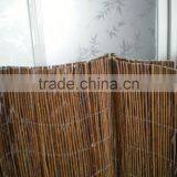 Willow Stake thumbnail-1