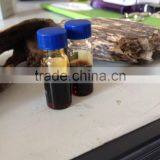 Best Oudh Oil - Best Price thumbnail-1