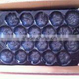 39X59cm PP Tray Packaging Pear