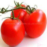 Brix 36-38% Tomato Paste Ketchup in Drum thumbnail-2