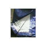 Car Sheeting thumbnail-1