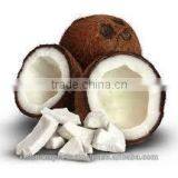 Fresh Coconut With Semi Husked thumbnail-4