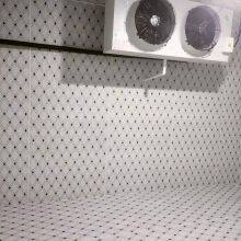 Medium Size Cold Storage,Cold Room,Cold House thumbnail-5