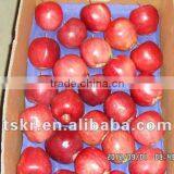 Fruit Market Prices Apple Huaniu thumbnail-1