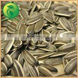 Chinese Agriculture Food Sunflower Oil Seeds thumbnail-2