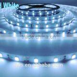 Ip20 Led Strip 2835 5M 60led/m Flexible Led Bar Light Warm White/white 12V24v thumbnail-6