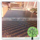 18mm Waterproof Plywood Sheet thumbnail-5