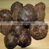 Natural Crude Raw Propolis for Sale thumbnail-3