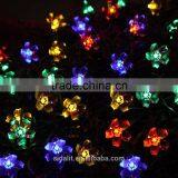 New Product Cheap Solar Energy Lamp