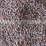 Mustard Seeds Crop thumbnail-1