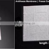 Hot Sale in South Africa Body Slimming Fat Freezing Machine for Sale thumbnail-2