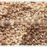 Gingelly, Til thumbnail-3